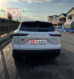 جيتور داشينج